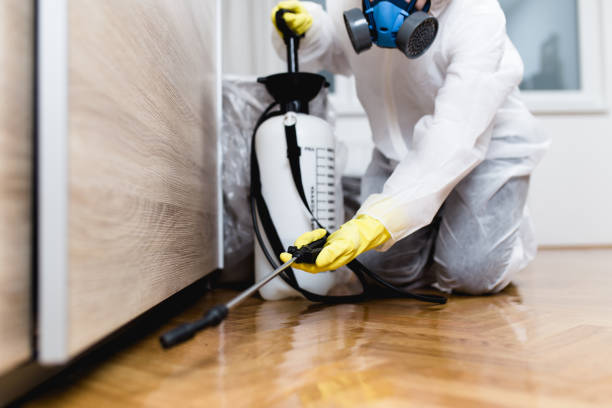 Flea Control Services in Marine, IL
