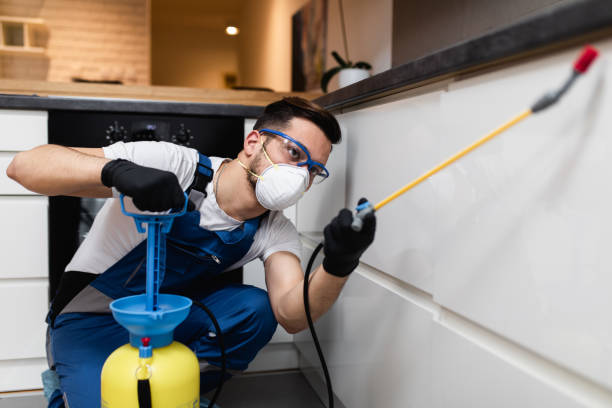Best Pest Inspection Near Me  in Marine, IL