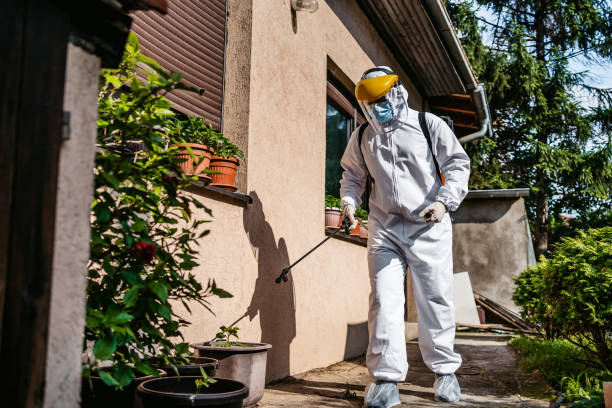 Best Wildlife Control Services  in Marine, IL