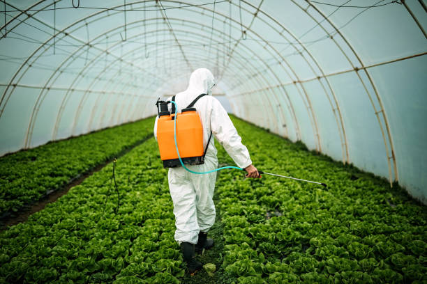 Best Residential Pest Control  in Marine, IL