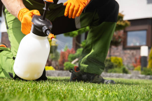 Best Rodent Control Near Me  in Marine, IL