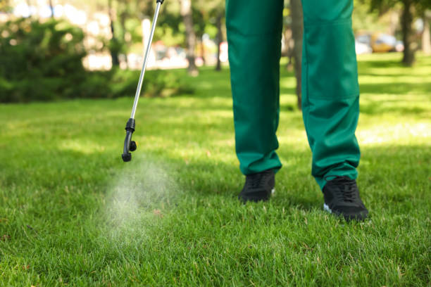 Best Mosquito Control Services  in Marine, IL