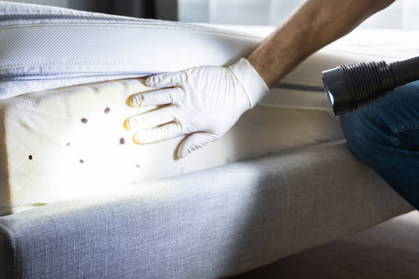 Best Pest Prevention Services  in Marine, IL