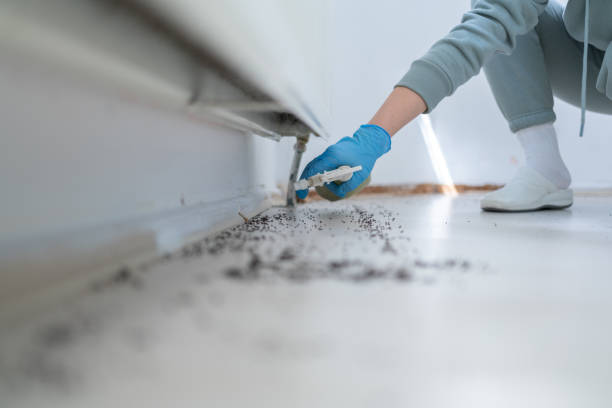 Trusted Marine, IL Pest Control Experts